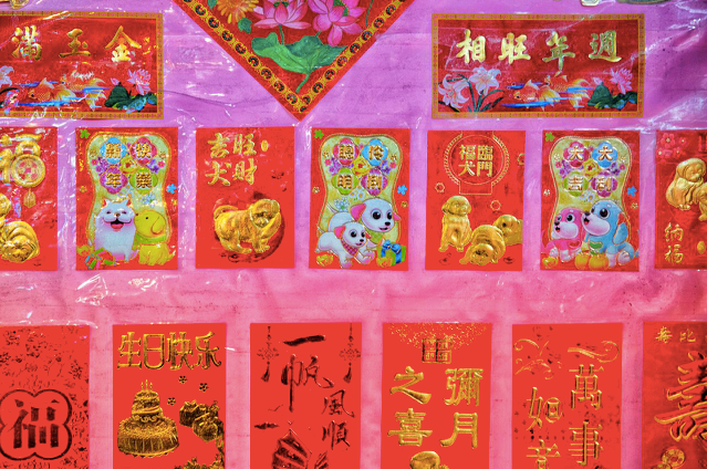 Year of the Dog 2