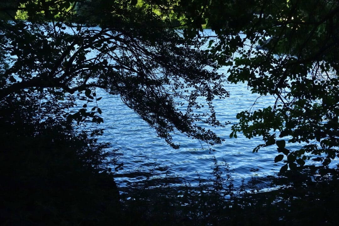 DSC06647