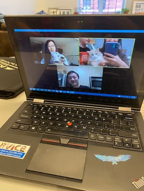 Amanda Weiner Zoom meeting