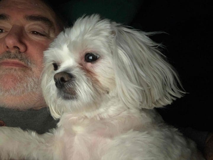 RR and Teddy smaller