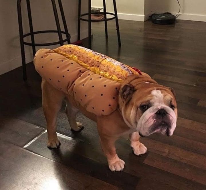 Cristina Melendez (Norm)