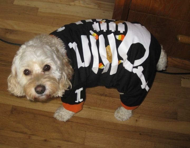 Jay Margolias (Luke)