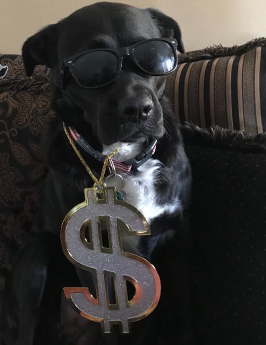 Marina Lavelle (Mac)