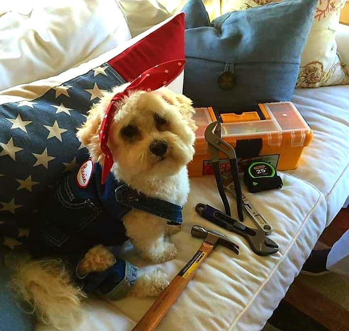 Mary Ann Arneel (Chelsea)