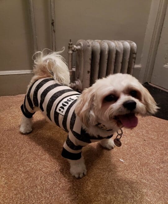 Michele Gomes (Ethan)