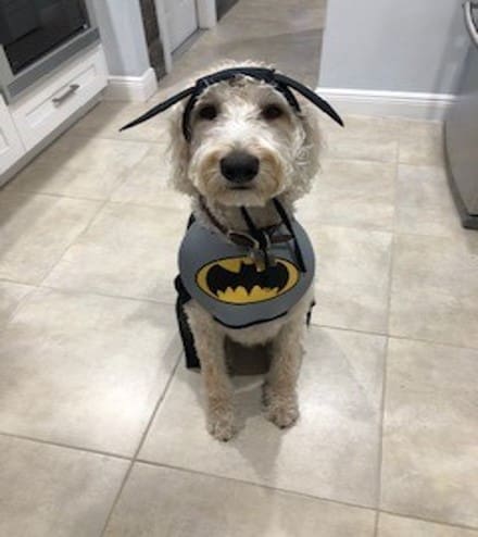 William LaRock (Rockwell)