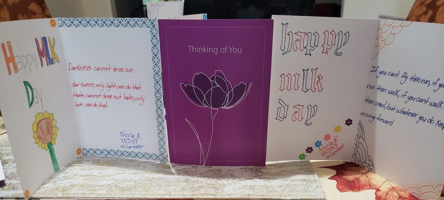 MLK Volunteer Picture