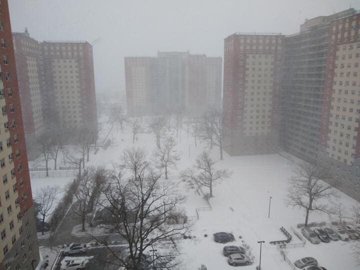 Submitted by Anna Naumenko, CHOICE