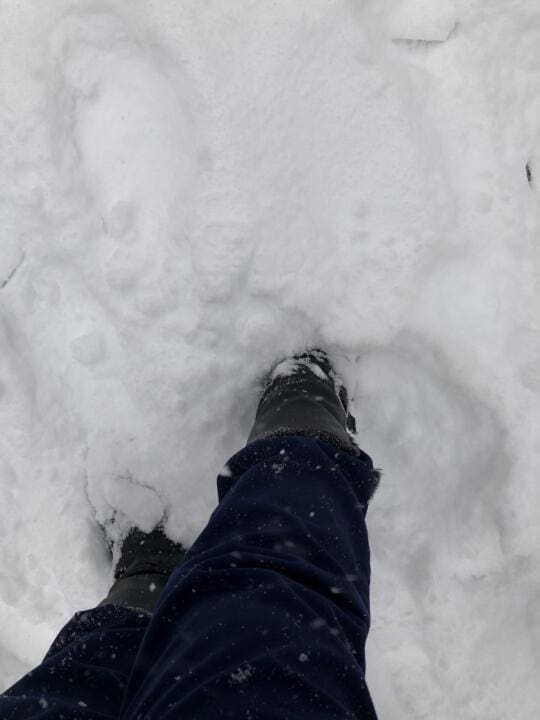 Submitted by Aracely Cruz Santos, Partners in Care