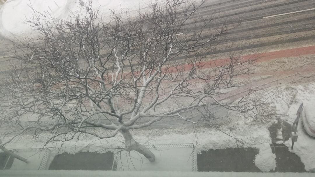 Submitted by Carmen Reyes, Partners in Care