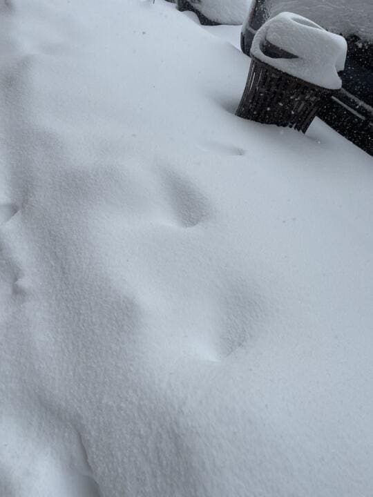 Submitted by Yajaira Figeroa, Partners in Care