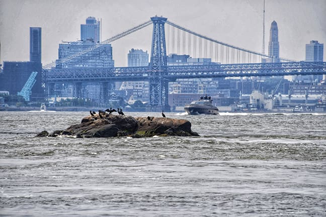 Photo Jul 28, 10 28 49 AM