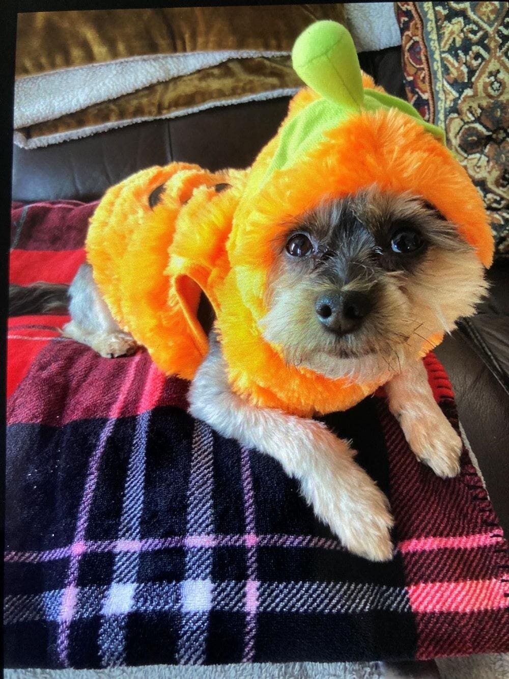 Marco_MicheleAlternative